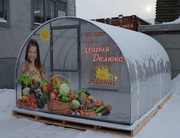 Теплицы- Сотовый поликарбонат- Парники